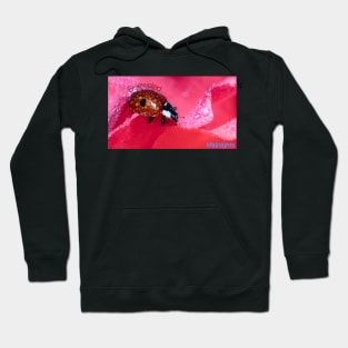 Bejeweled Midnights Hoodie